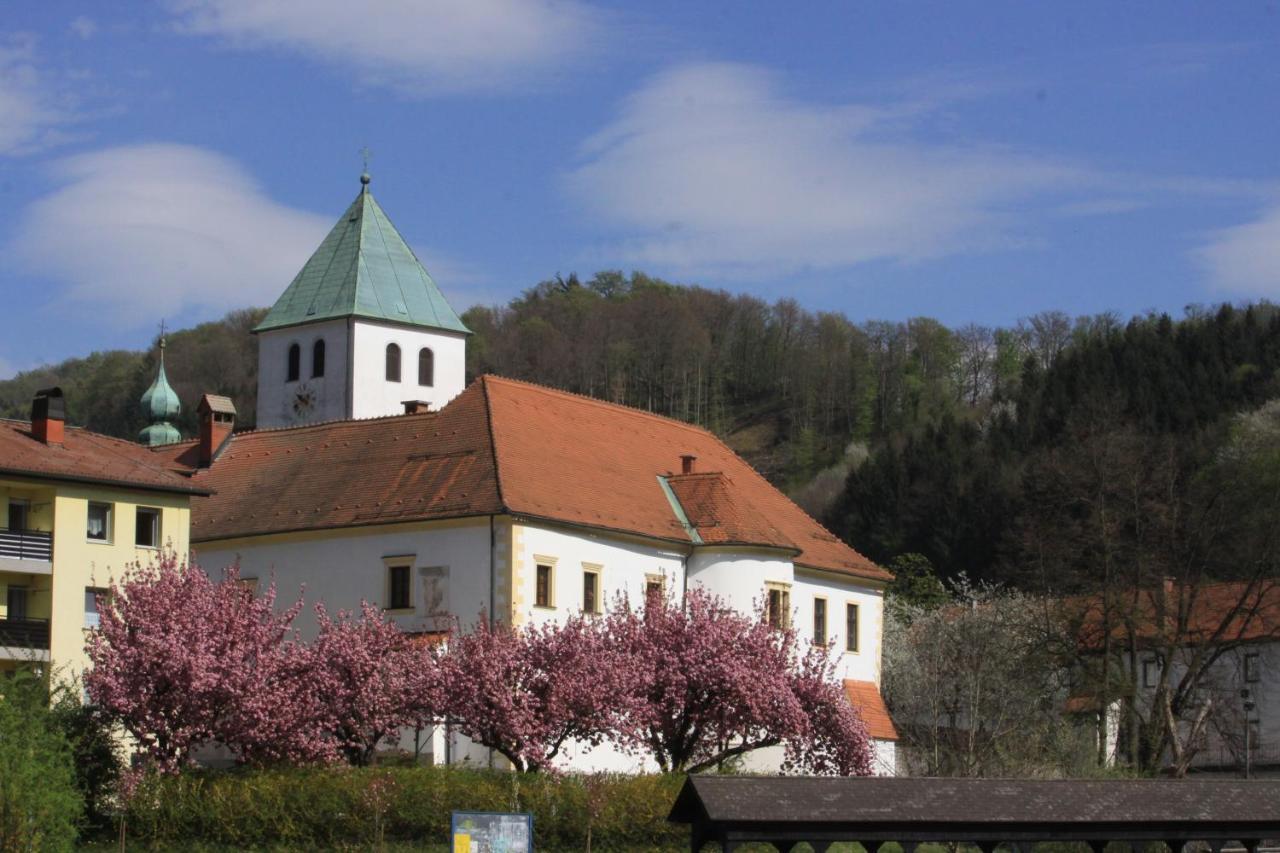 Na Kopitarjevi Hotel Lasko Bagian luar foto