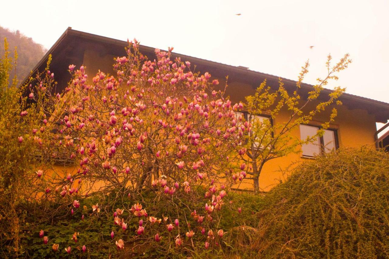 Na Kopitarjevi Hotel Lasko Bagian luar foto
