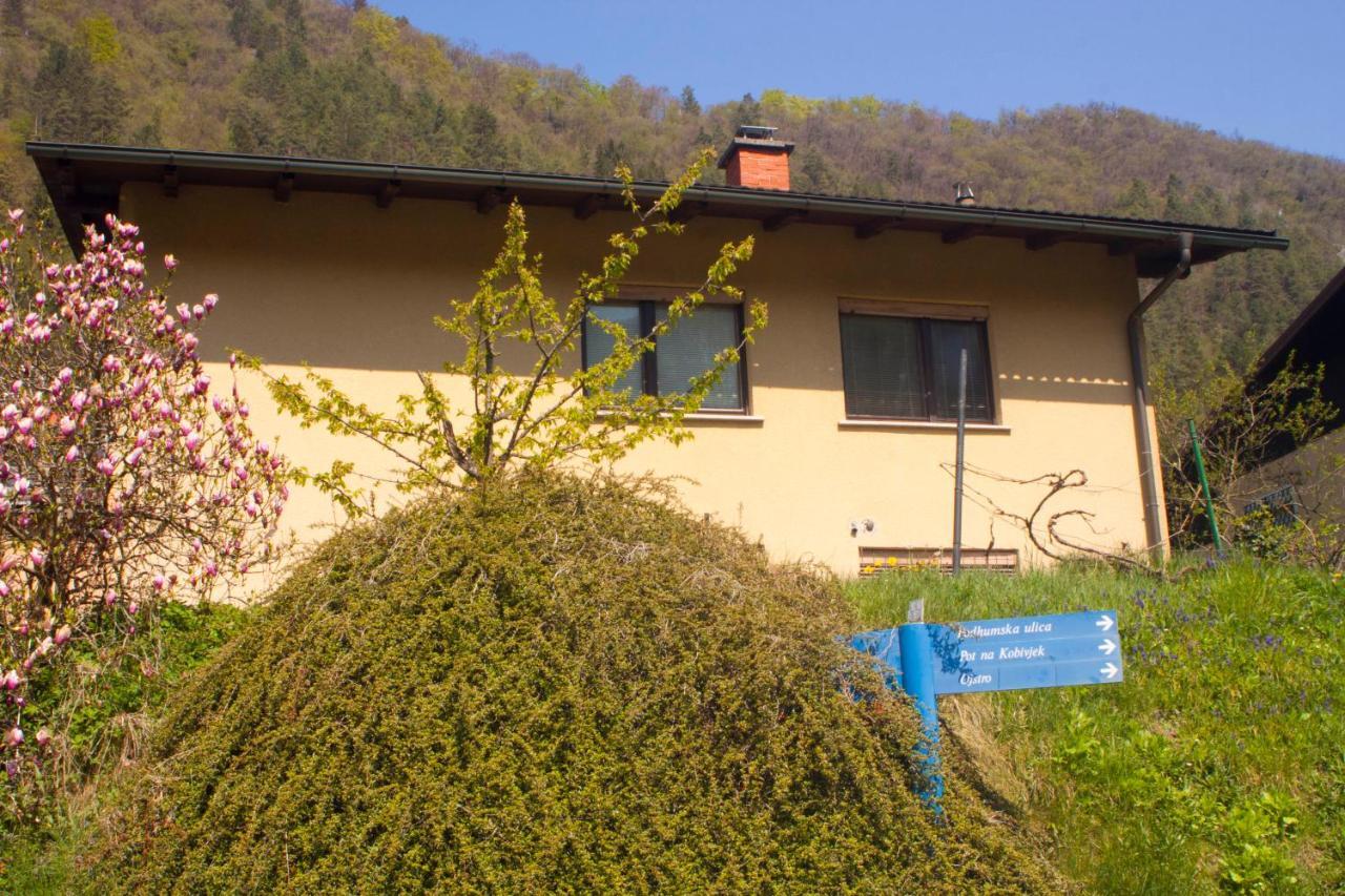 Na Kopitarjevi Hotel Lasko Bagian luar foto