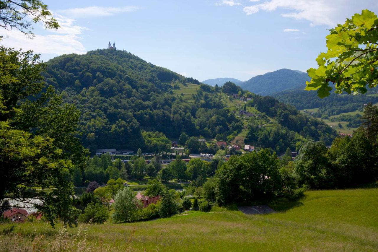 Na Kopitarjevi Hotel Lasko Bagian luar foto